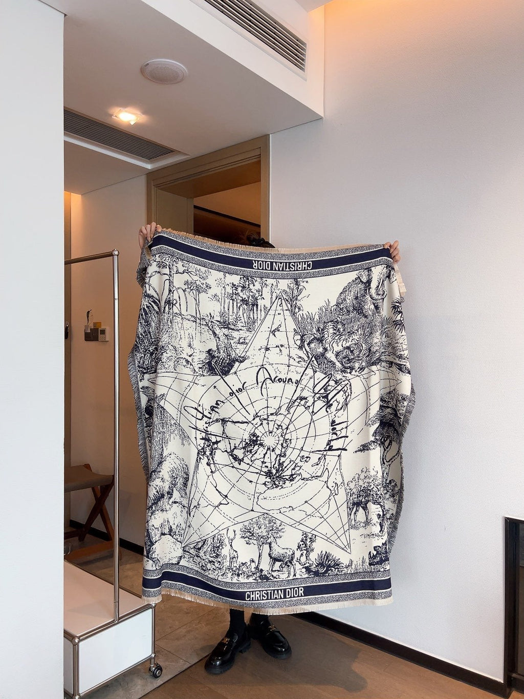 Dior Scenic Print Shawl